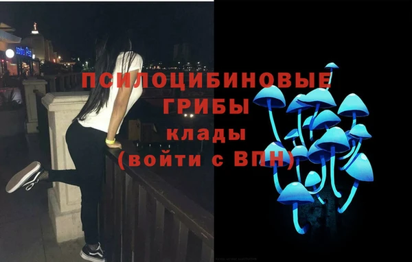 шишки Новокубанск