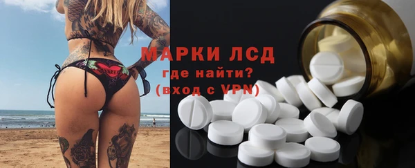шишки Новокубанск