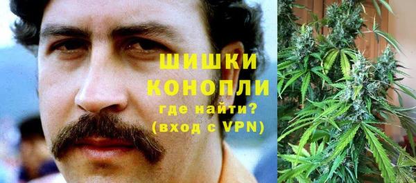 шишки Новокубанск