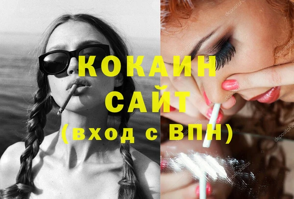 spice Няндома