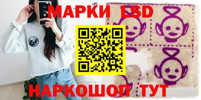 индика Рузаевка