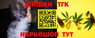 индика Рузаевка