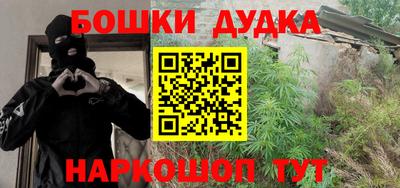 индика Рузаевка
