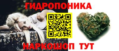 индика Рузаевка