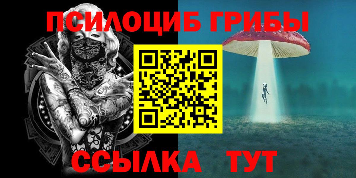 Новозыбков  Галлюциногенные грибы Psilocybine cubensis  Вход с VPN  Галлюциногенные грибы мицелий 