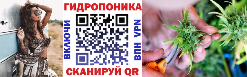 Бошки Шишки OG Kush Новозыбков