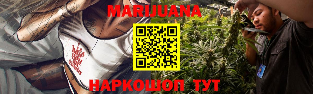 Новозыбков  Марихуана семена  Вход с VPN  Марихуана ГИДРОПОН  Канабис VHQ 